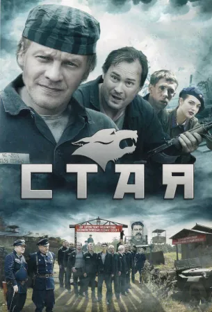 Стая (сериал 2009)