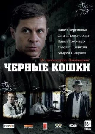 Черные кошки (сериал 2013)