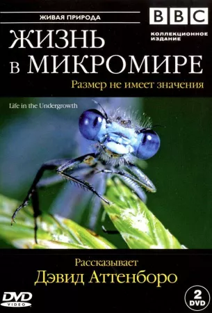 BBC: Жизнь в микромире (сериал 2005)