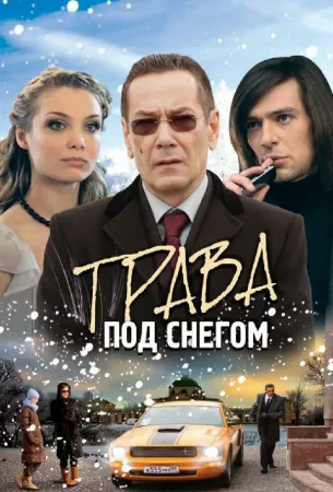 Трава под снегом (сериал 2010)