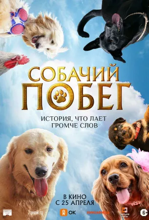 Собачий побег (фильм 2023)