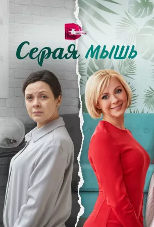 Серая мышь (сериал 2023)