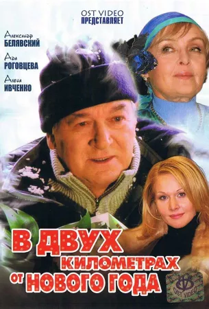 В двух километрах от Нового года (сериал 2004)