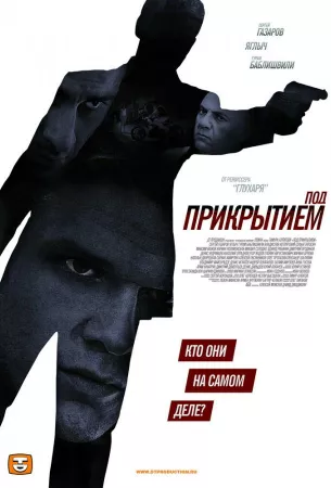 Под прикрытием (сериал 2012)